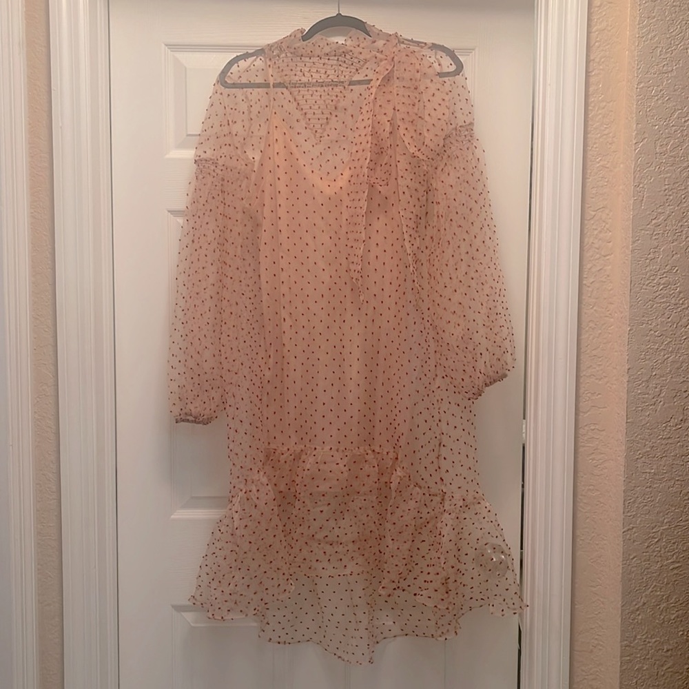 Zara dress